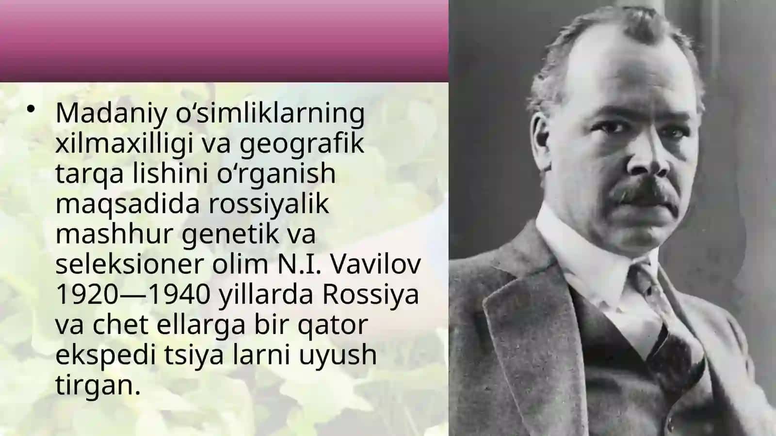 Madaniyo‘simliklarningkelibchiqishi 4