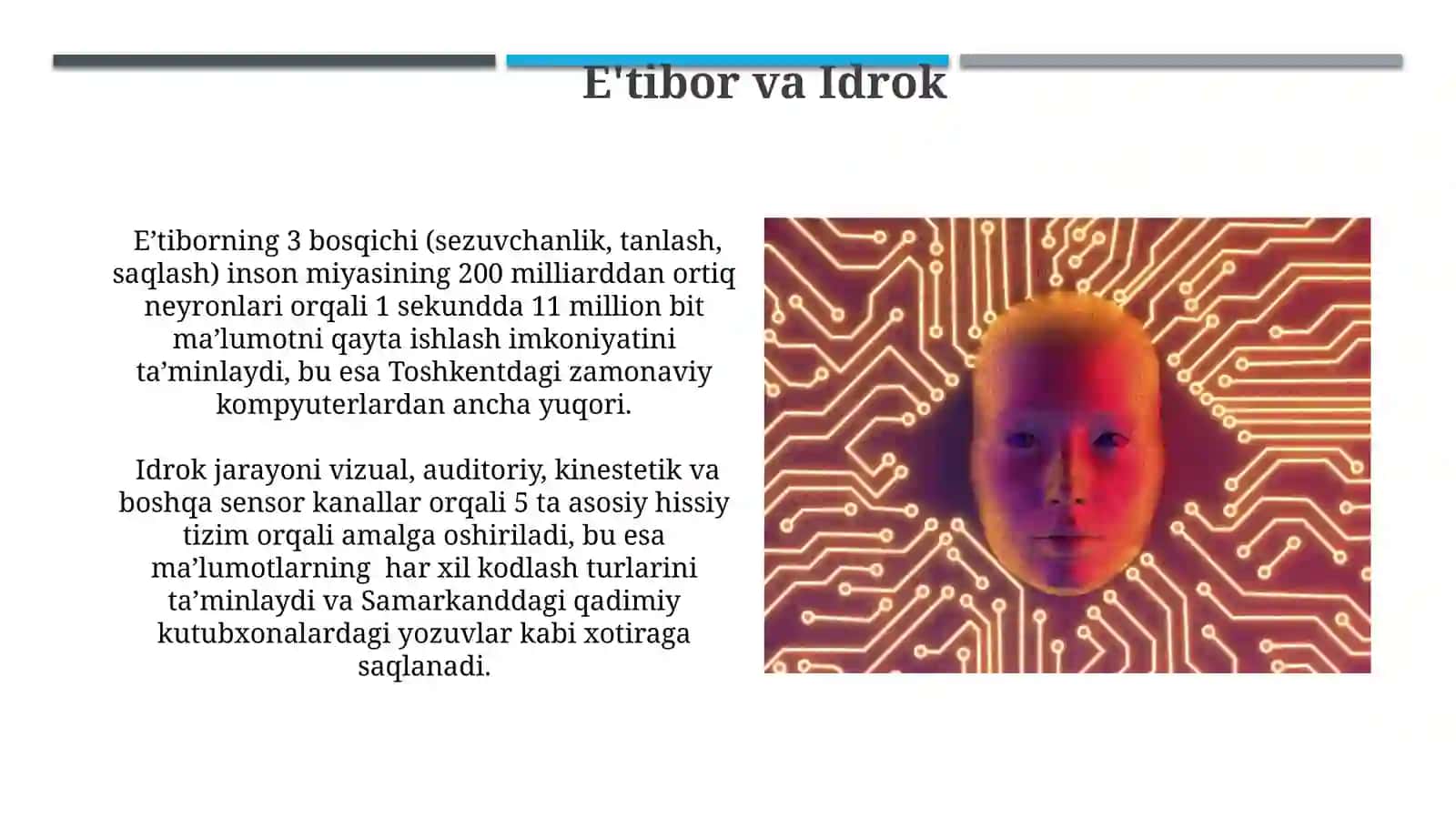Inson axborotini qayta ishlash tizimi 4