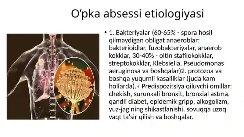 O’pka absessi patogenezi klinikasi va diagnostikasi 4