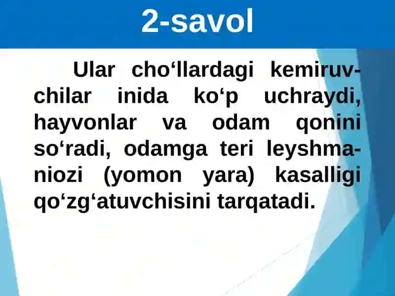 Hasharotlarning kelib chiqishi va ahamiyati 4