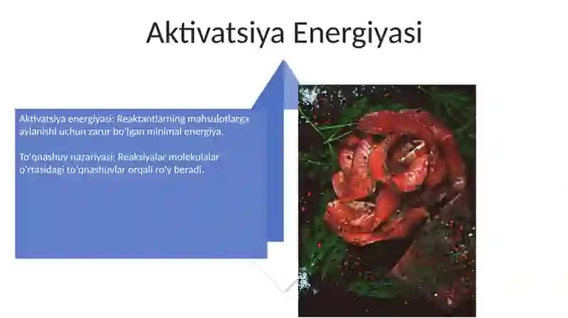 To'qnashuv nazariyasining asosiy qoidalari 4