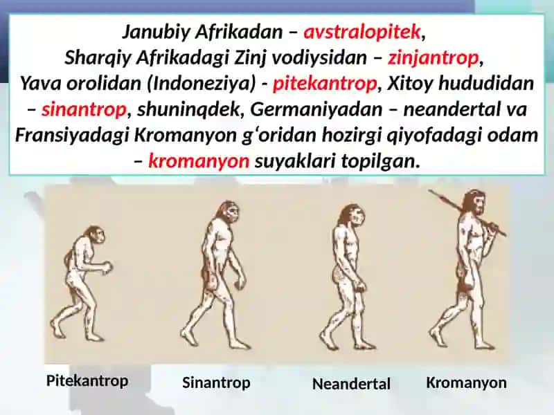 Engqadimgiodamlar 4