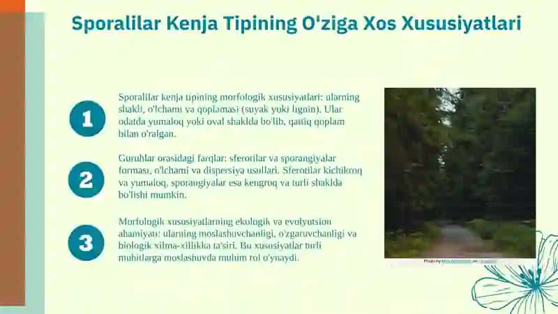 Sporalilar Kenja Tipining Morfologik Xususiyatlari 4