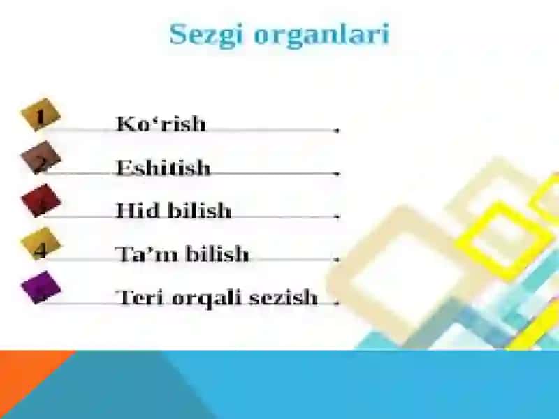 ANALIZATORLAR VA ULARNING YOSH XUSUSIYATLARI 4