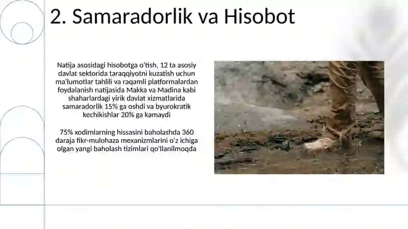 Saudiya Arabistoni davlatning menejmenti sohasidagi islohotlar 4