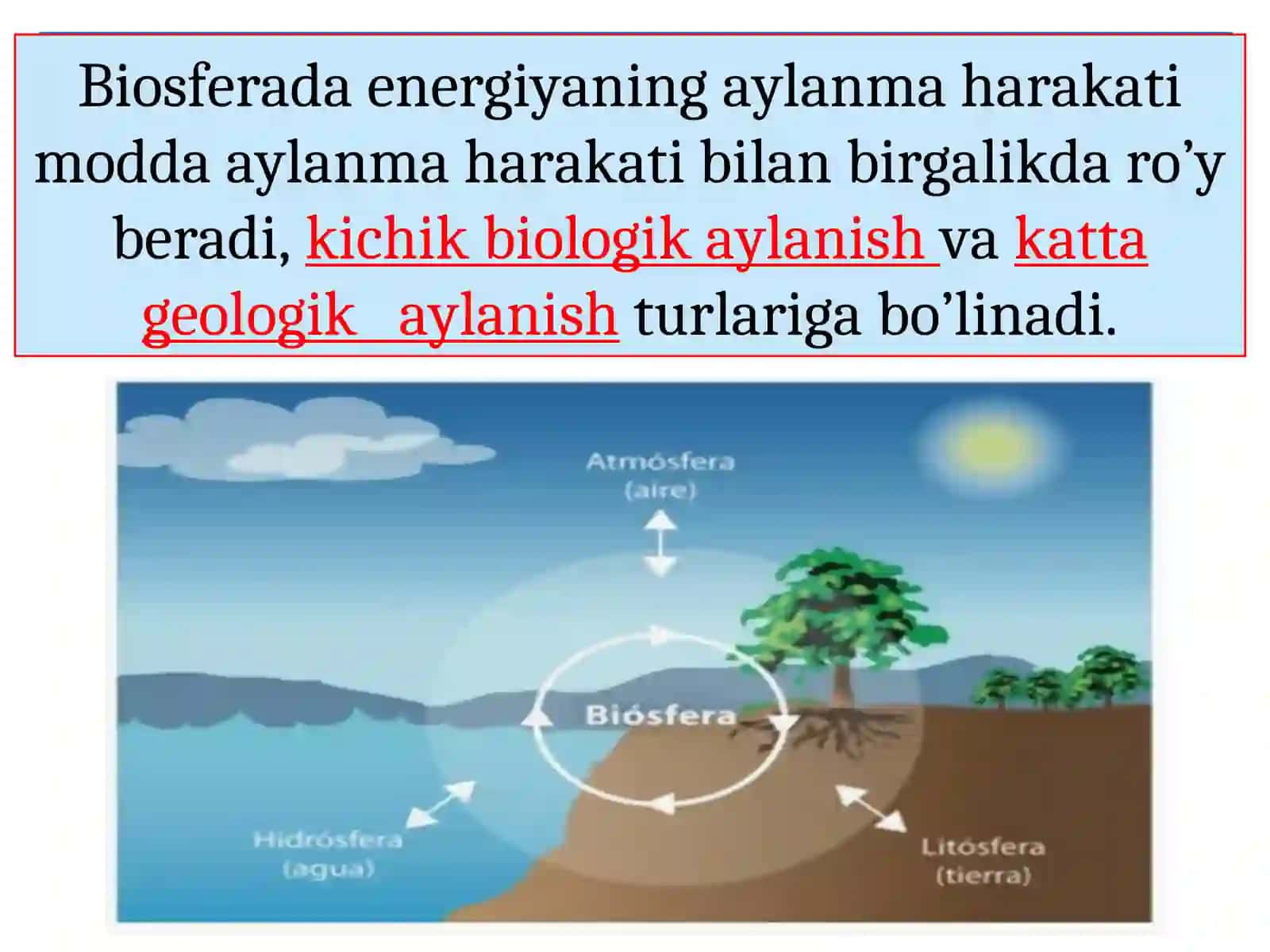 ORGANIZMLARNING TARQALISH OMILLARI. ABIOTIK OMILLAR 4
