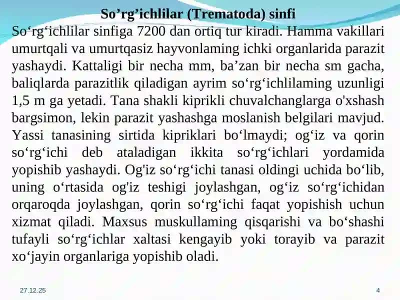 Neodermatalar filogeniyasi 4
