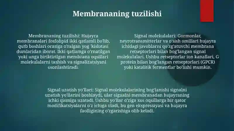 Signallarning Membranalar Orqali O’Tkazilishi 4