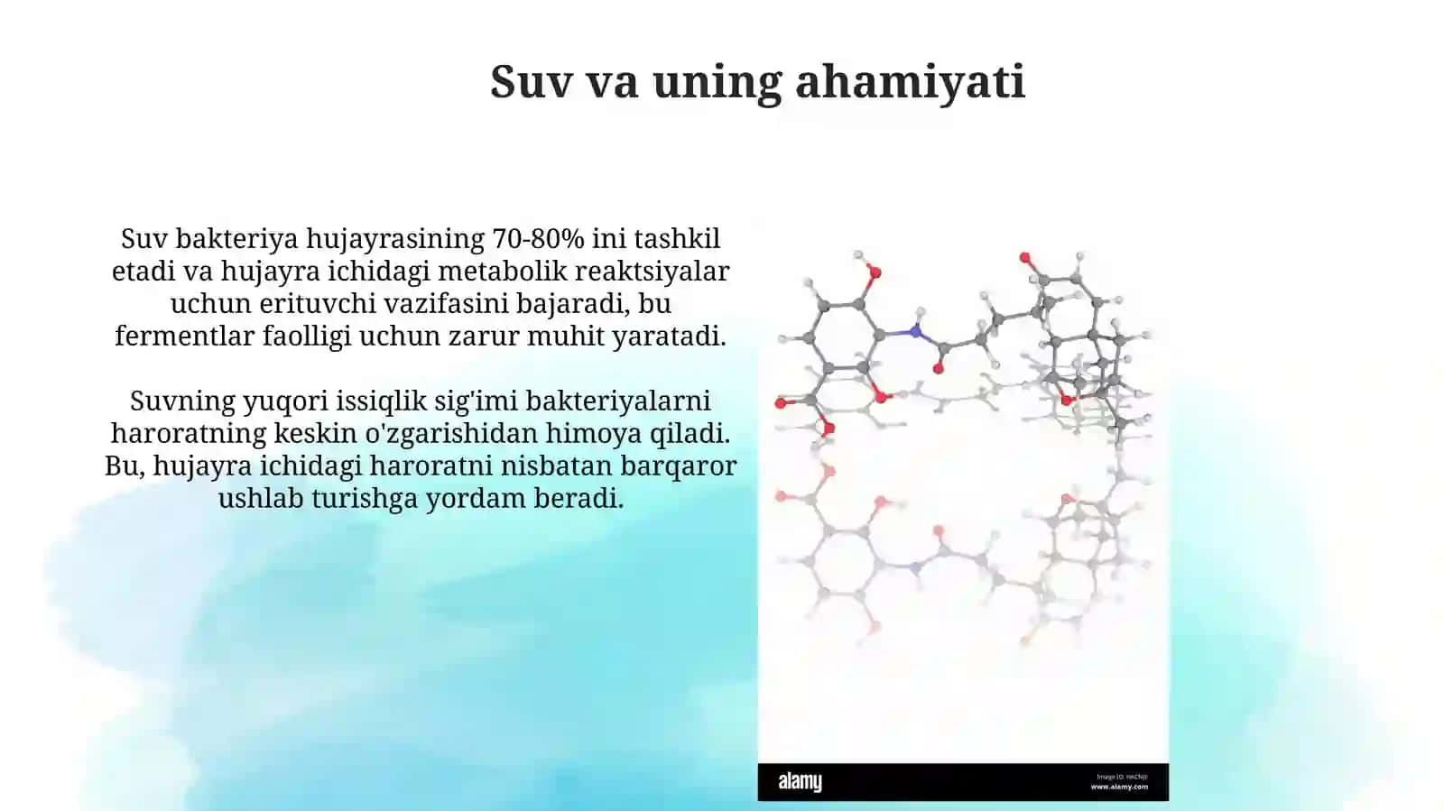 Bakteriyaning kimyoviy tuzilishi 4