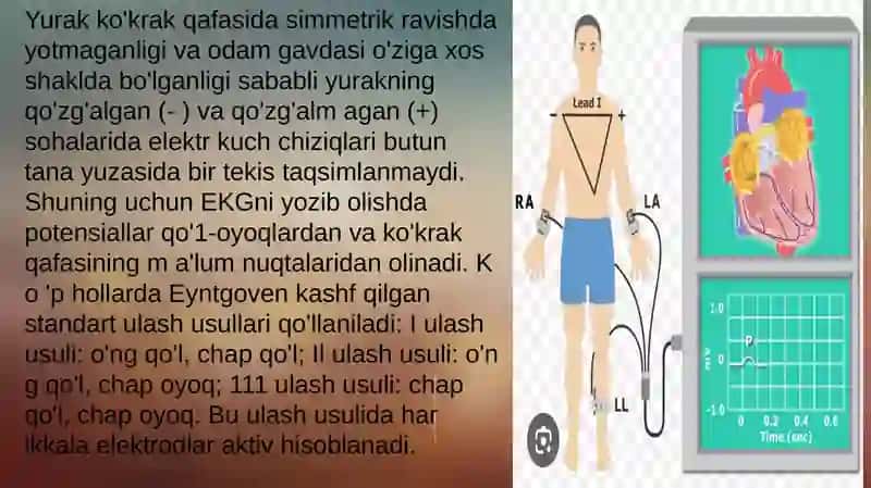 Yurak faoliyatini tekshirish usullari 4