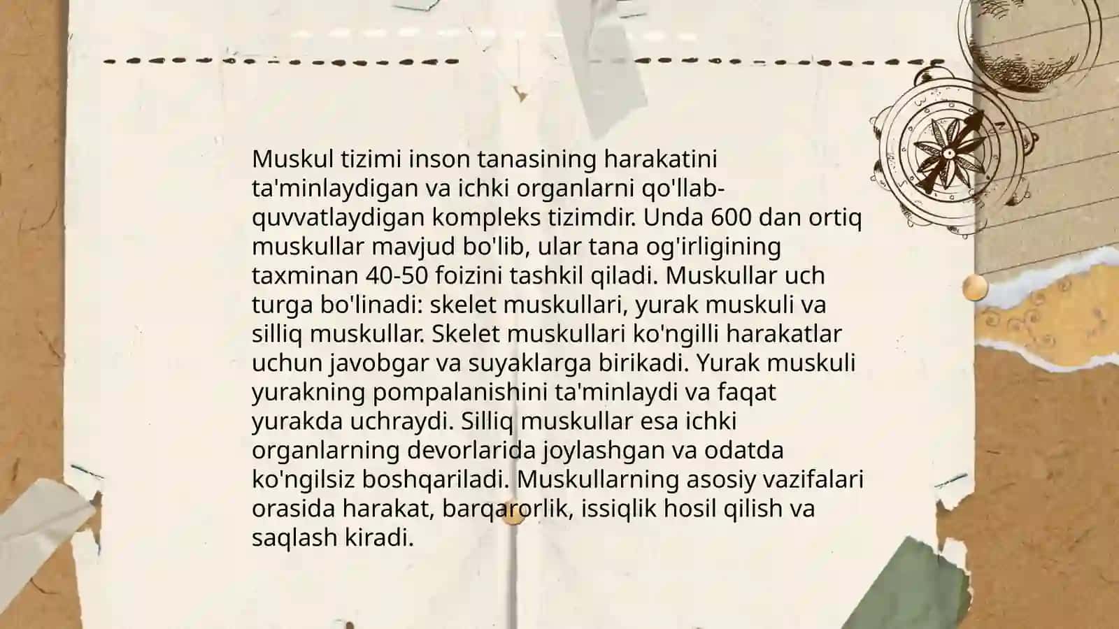 Suyakli baliqlar ichki tuzilishi 4