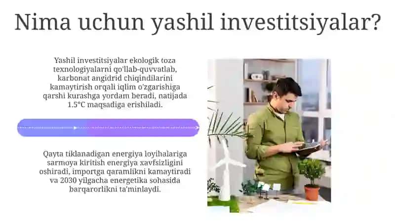 Yashil loyihalarga investitsiya kiritish 4