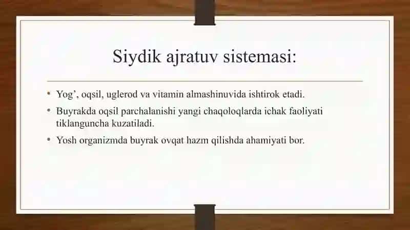 Gistalogiya Ayirish sistemasi 4