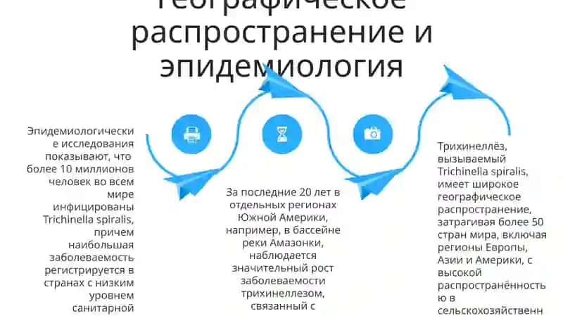 Тип круглое Черви 4