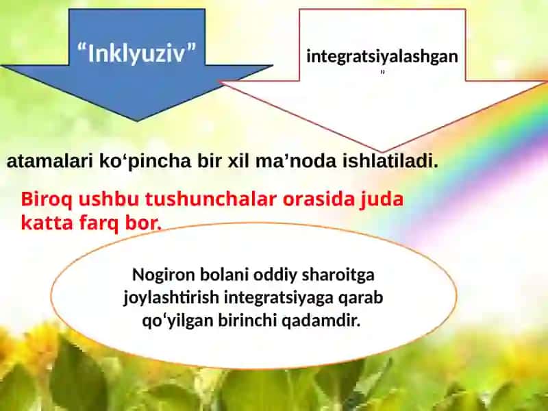 Inklyuziv ta'lim 4