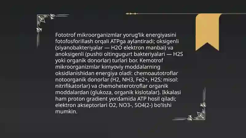 Mikroorganizmlar tomonidan energiya olish usullari 4