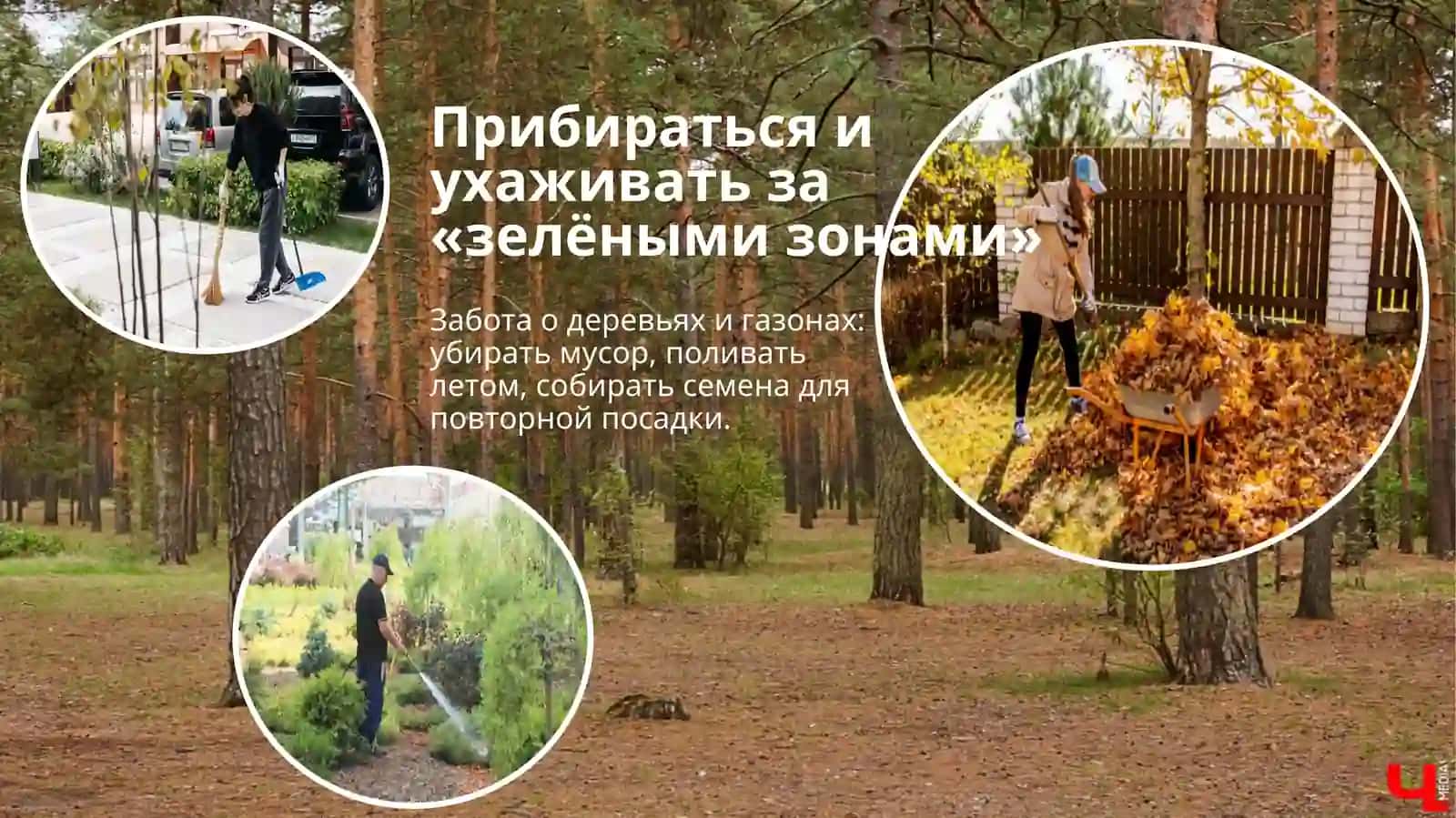 Сажать деревья в своем районе 4