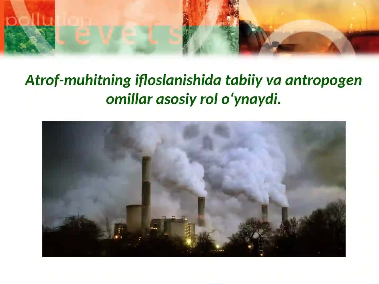 Atrof muhit ifloslanishi turlari. 4