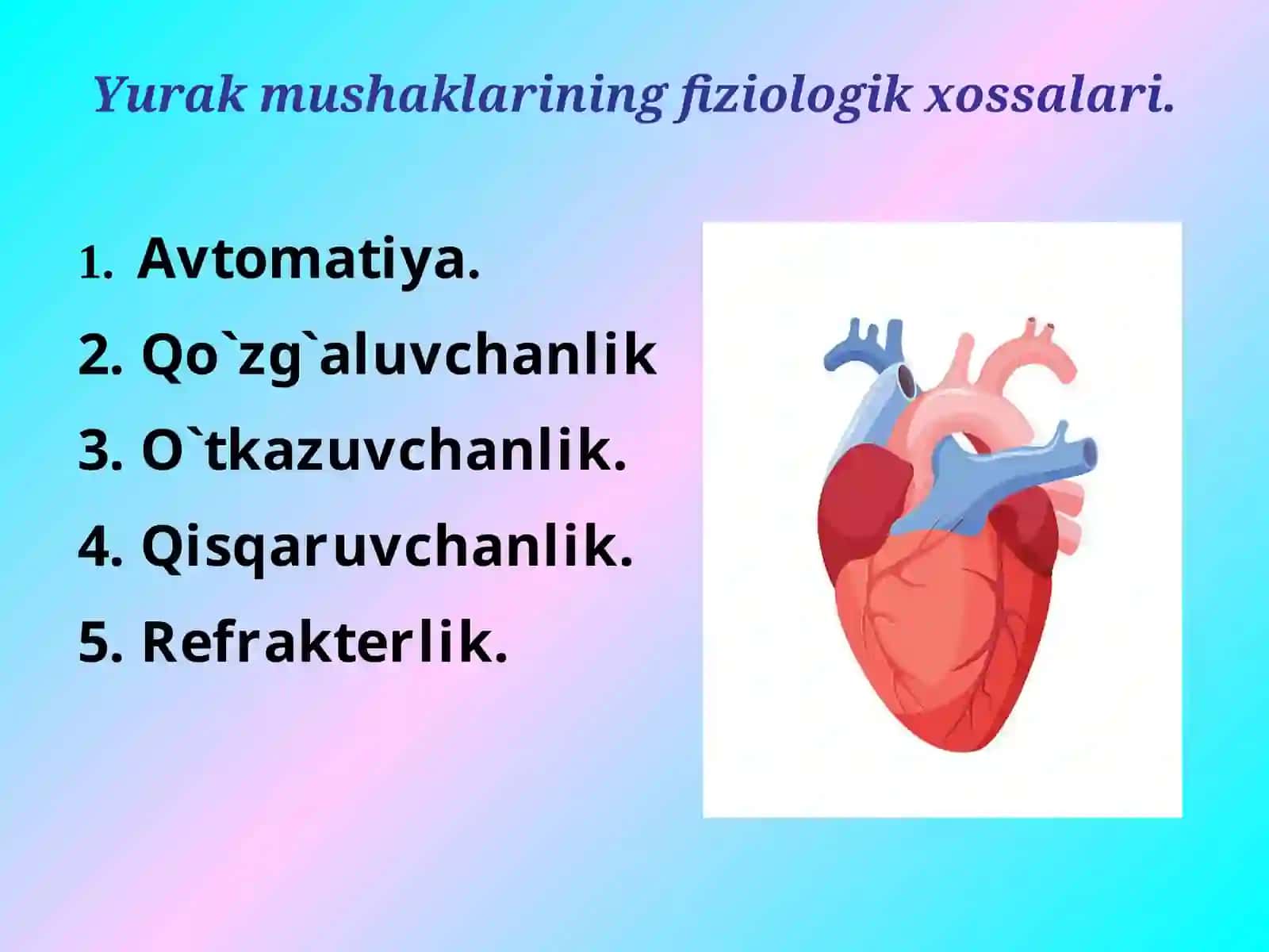 Yurakning gemodinamik vazifasi 4