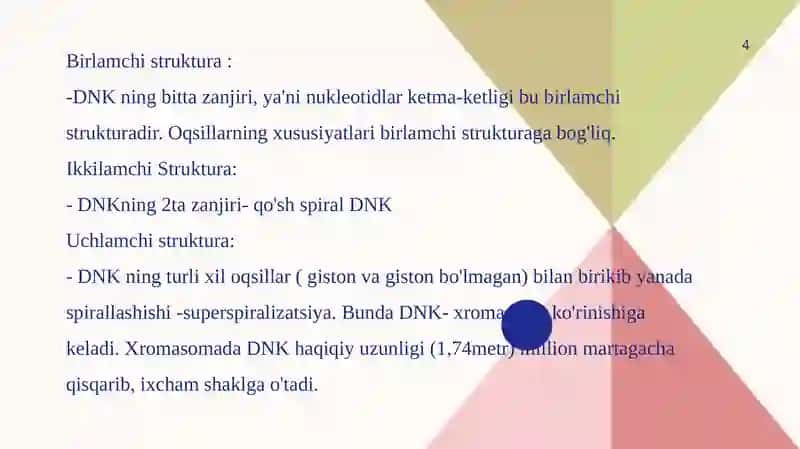 Hujayrabo'linishsikli 4