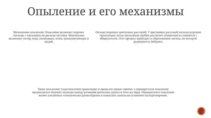 Оплодотворение Цветковых Растений 4