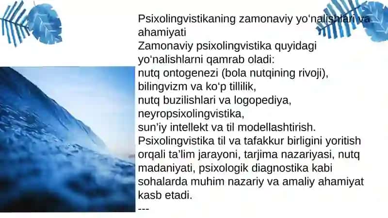 Psixolingvistika 4