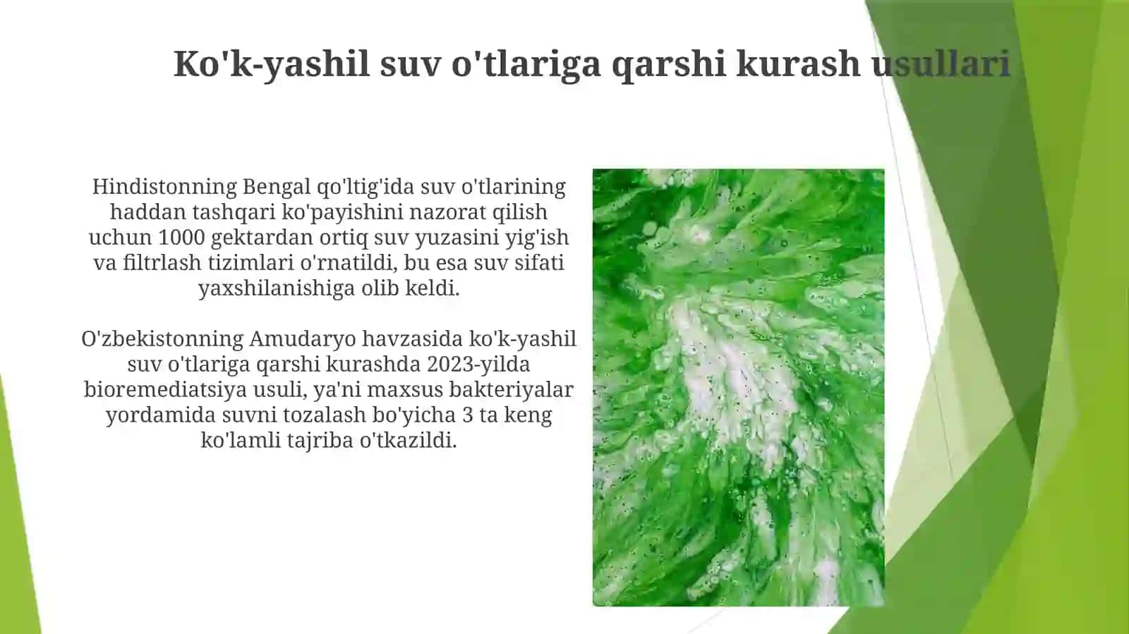 Suvoʻtlarkoʻkyashilsuvoʻtlarlari 4
