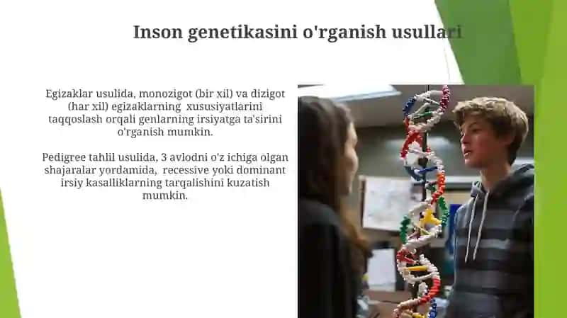 Egizaklarni o'rganish usullari 4