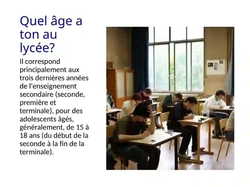 Lelycée 4