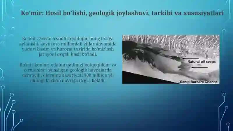 Uglerod xomashyosining tabiiy manbalari: Kirish 4