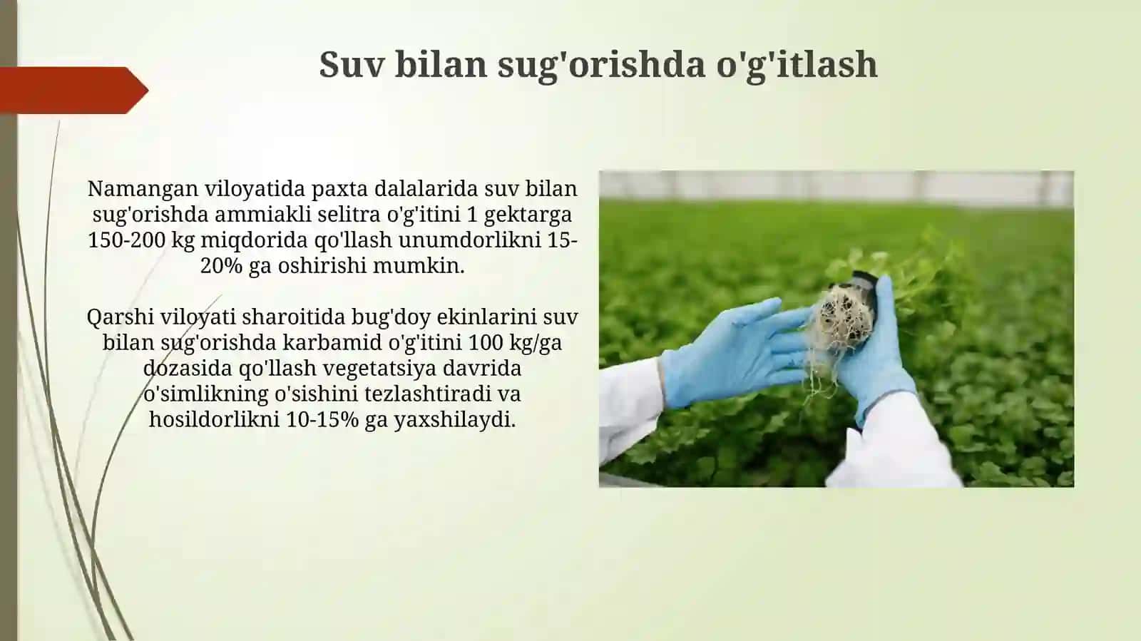 Amidli o‘g‘itlarning olinishi vaishlatilishi 4
