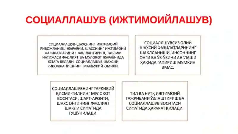 СОЦИОГЕНЕЗДА ШАХС 4