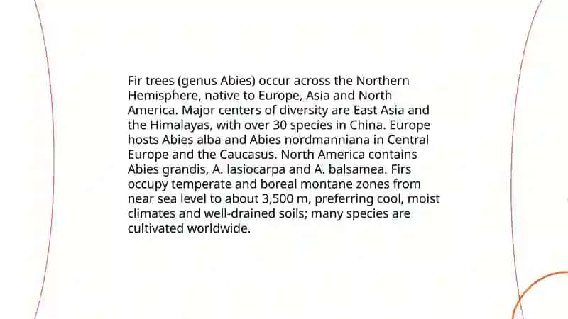 Overview of Fir Species and Classification 4