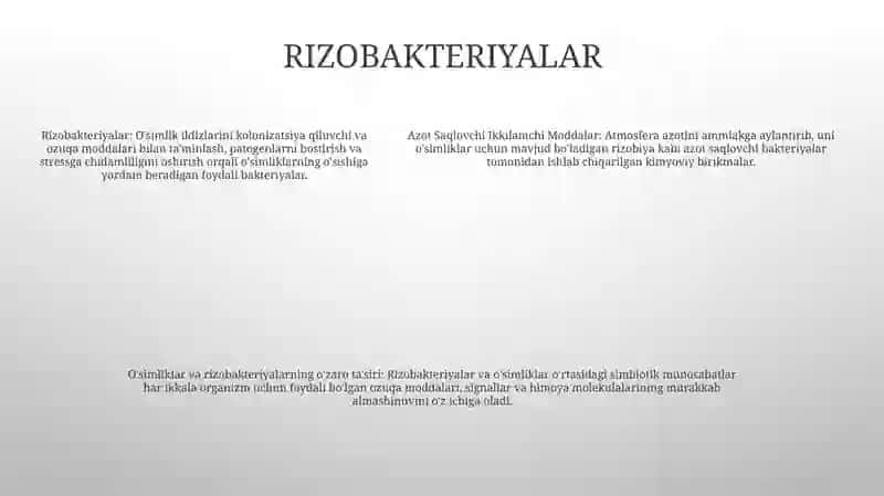 Azot Saqlovchi Ikkilamchi Moddalar 4