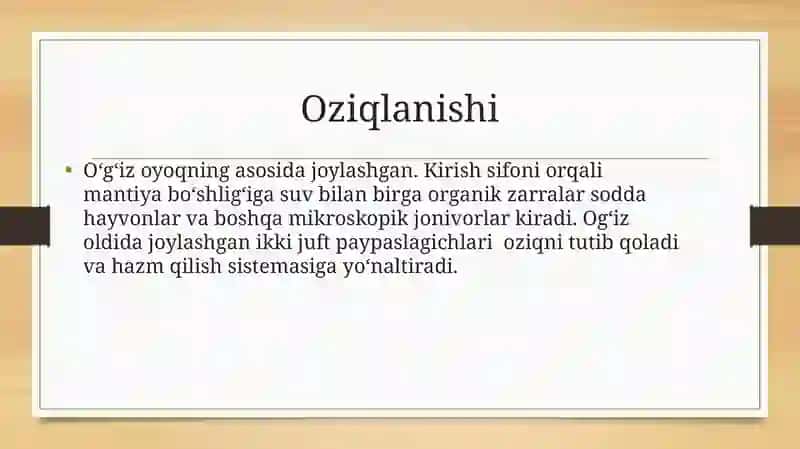 Hazm qilish sistamasi 4