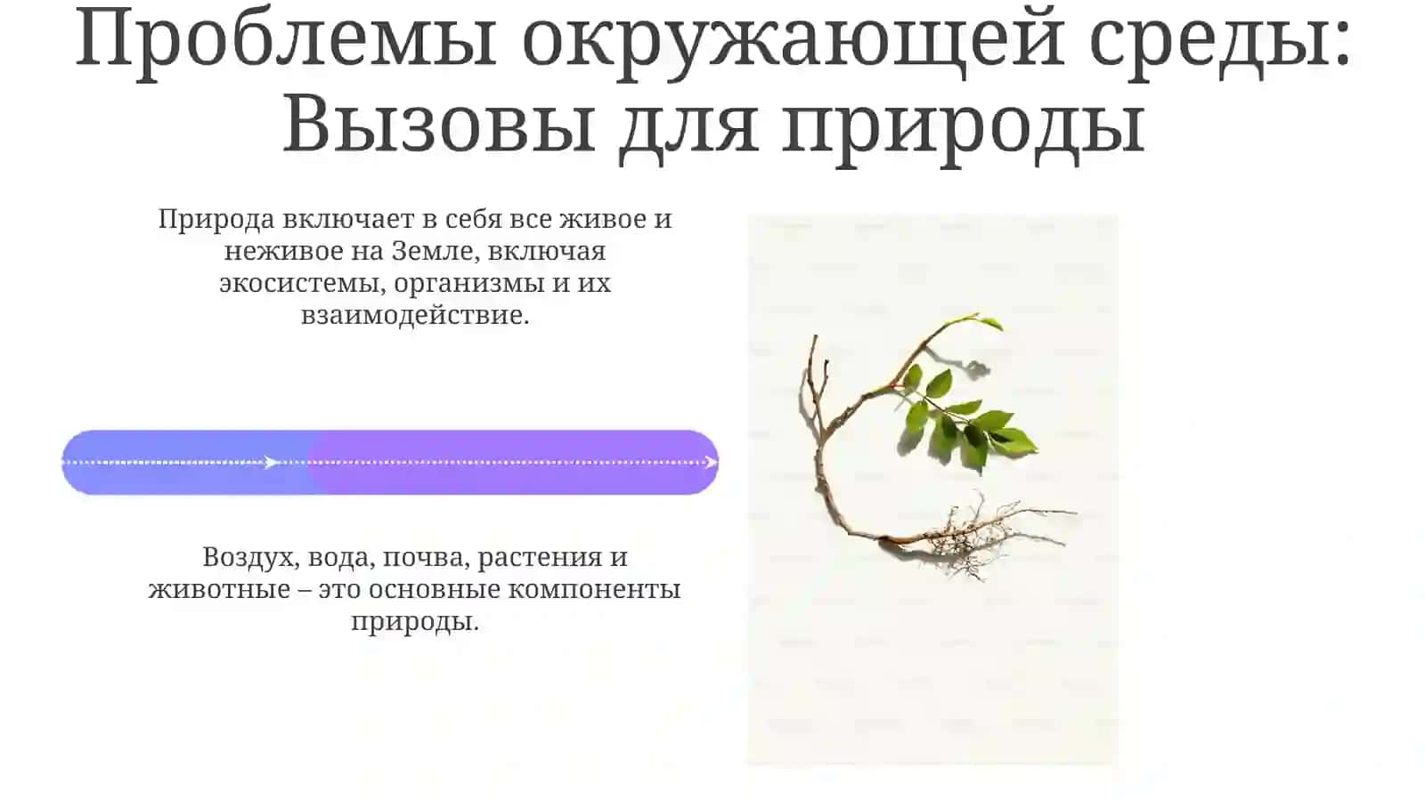 Природа: Определение и Область 4