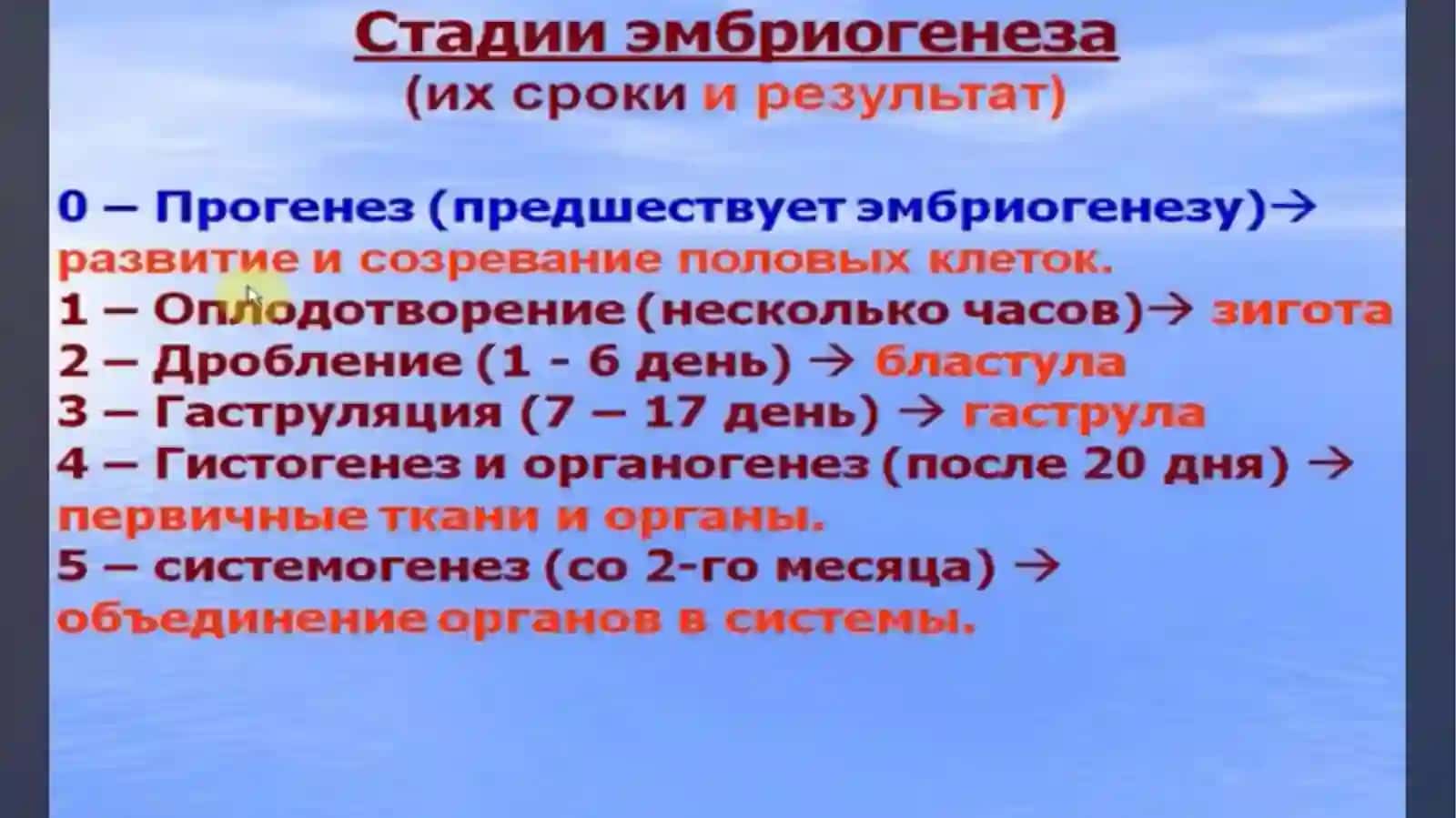 Эмбриология ч.1 4