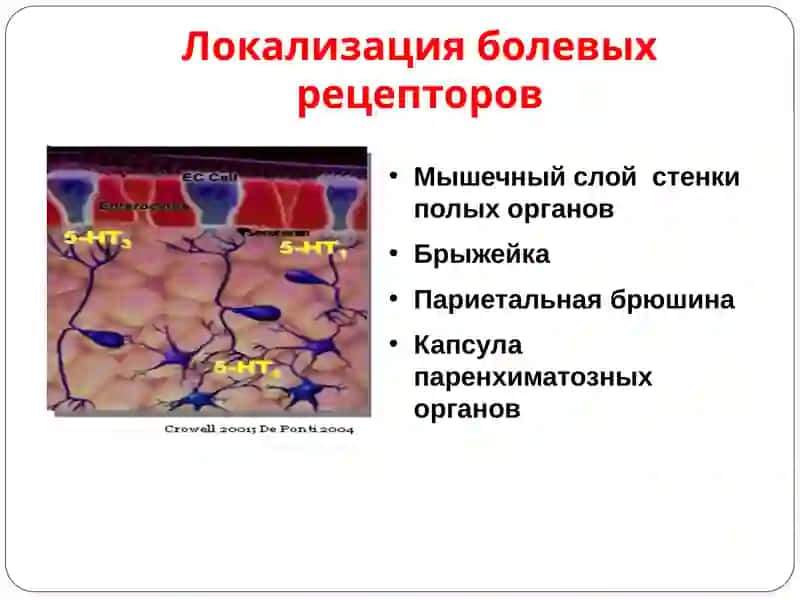 Расспрос больного о заболеваниях кишечника 4