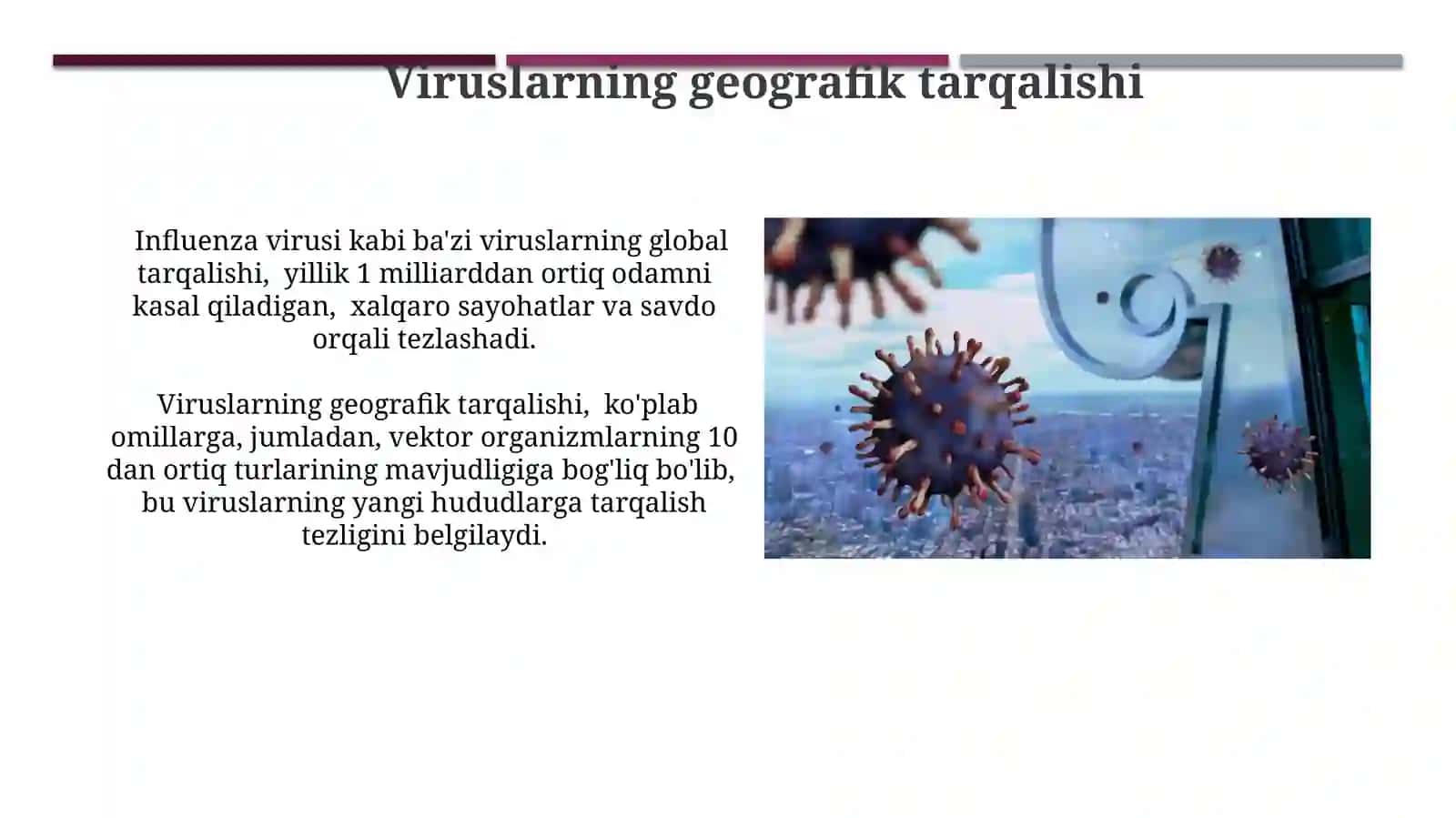 Viruslar klassifikatsiyasini rivojlantirish tarixi 4