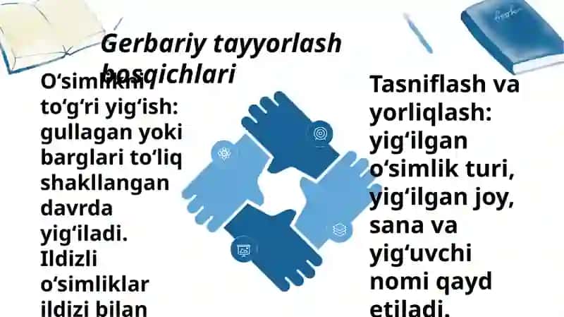 Gerbariy tayyorlash va tayyorlash usullari haqida maʼlumot 4
