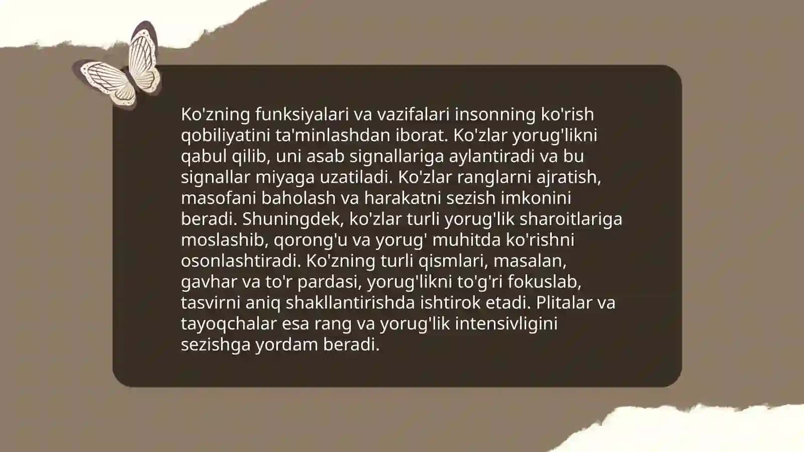 Ko'z anatomiya va tuzilishi 4