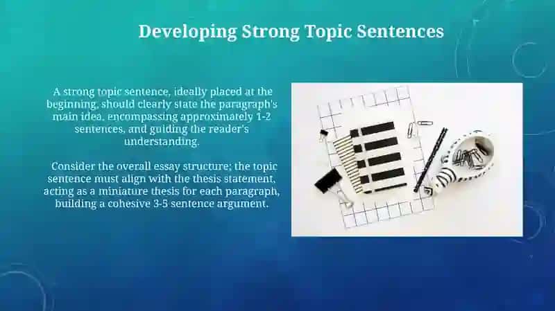 Comparison/Contrast Paragraphs 4