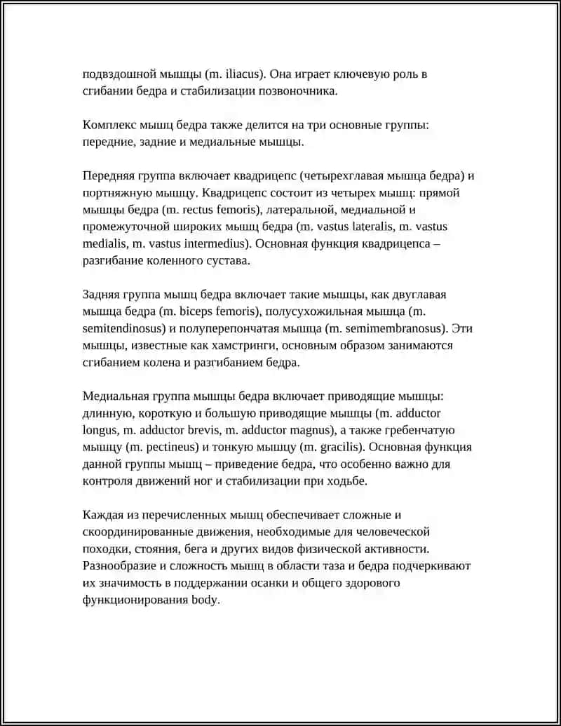 МЫШЦЫ ТАЗА И БЕДРА 4