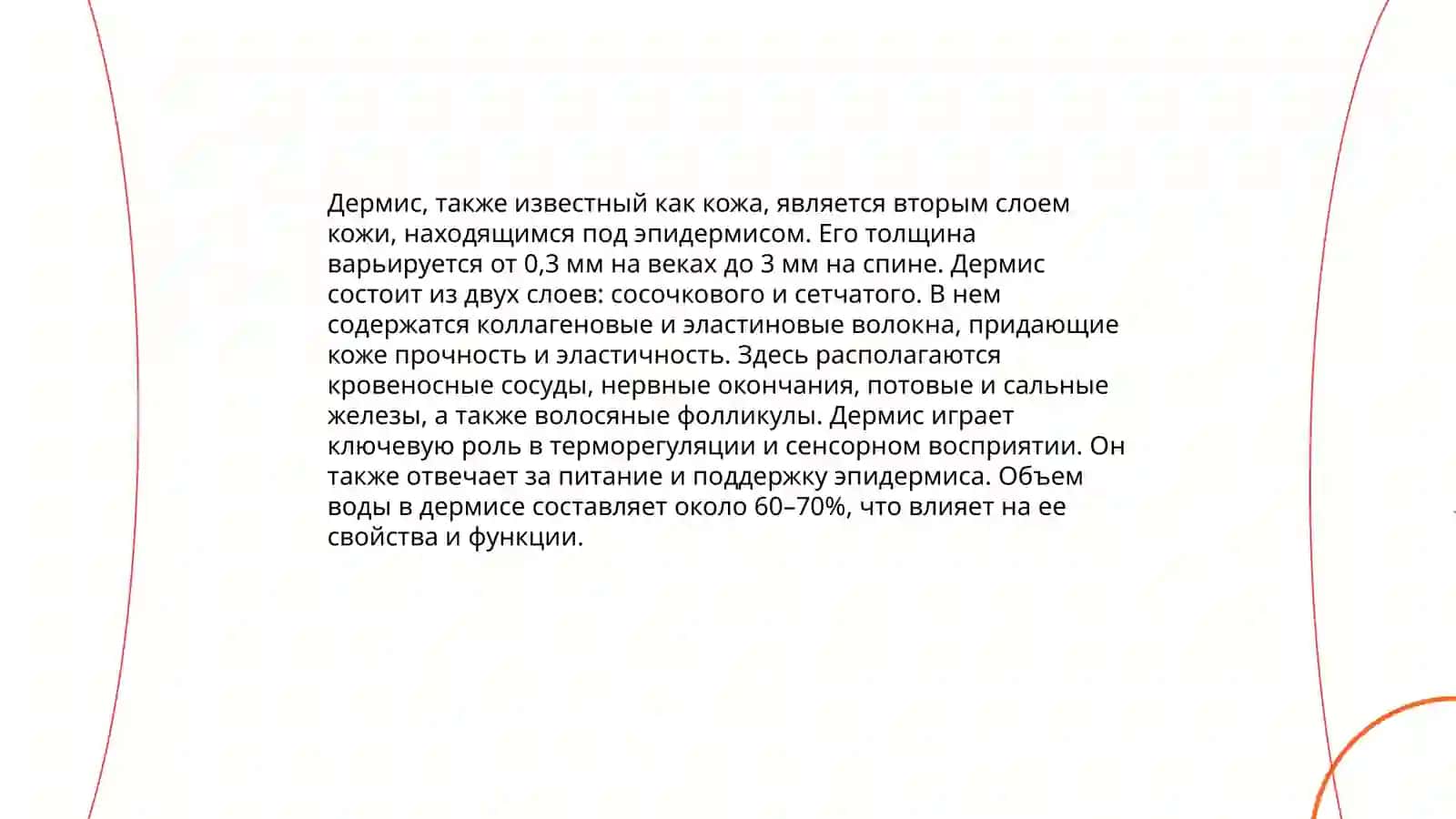 Строение и состав кожи 4