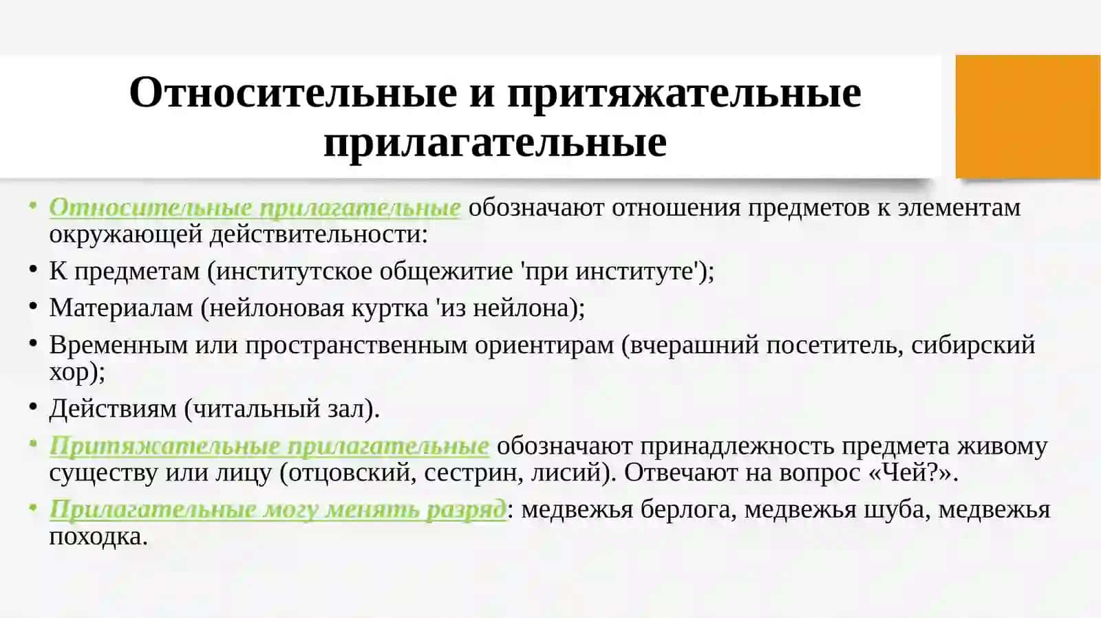 Имя прилагательное 4