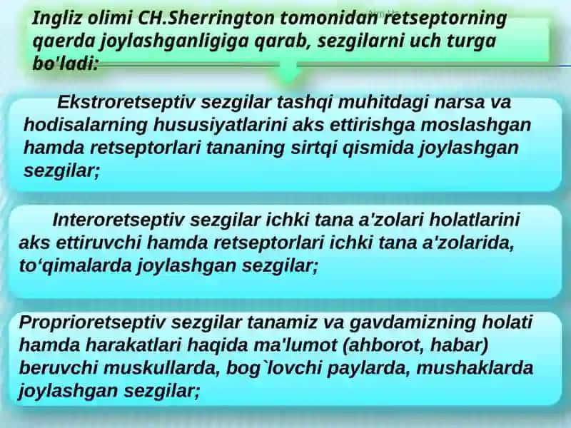 Sezgi 4
