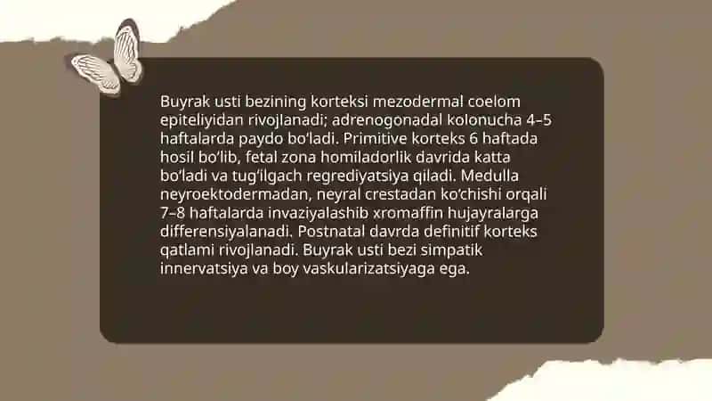Buyrak usti bezlari 4