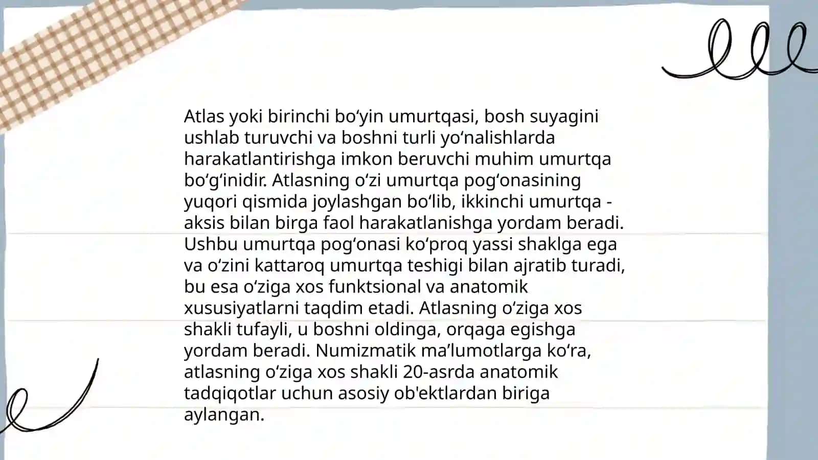 Umurtqa pogʻonasi suyaklari 4