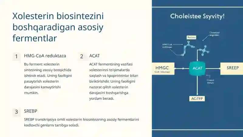 Xolesterin biosintezi: tushunish va boshqarish 4
