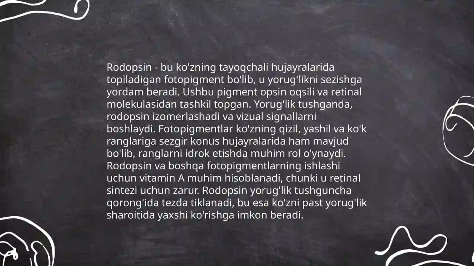 Fotoretseptorlarning morfologik asoslari 4